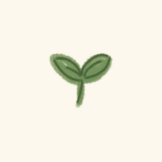 Миф_на_связи🗝🍀