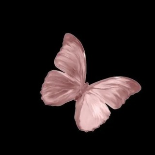 صدى