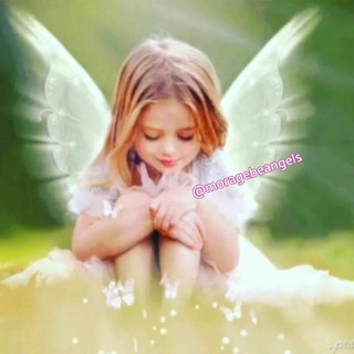فرشتگان مراقبه جذب