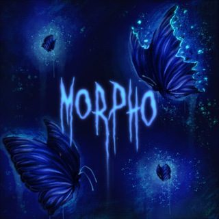 Morpho 🦋