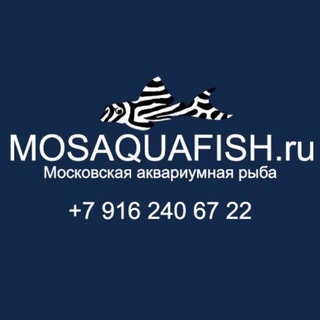 Аквариумные рыбки Mosaquafish