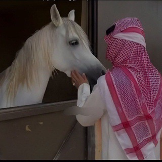 هَوآجيـس⁵¹⁵⁠⁠‌‌𓆩𓄄𓆪