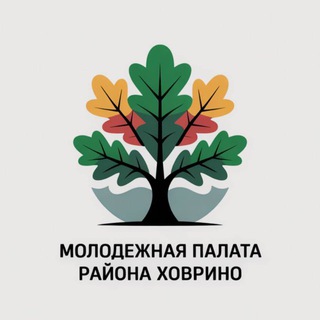 Молодежная палата района Ховрино
