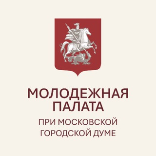 Молодежная палата при МГД