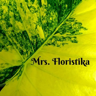 Mrs. Floristika