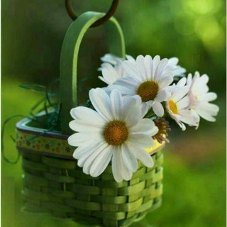 همسـ🌹ـات تفاؤل ❤️