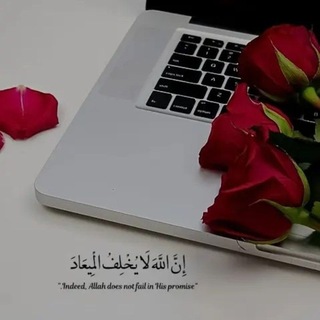 『 رِحـلَةُ اْلـوَعيِّ اْلـيَـوْمِيَّة 』