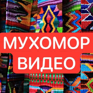 MUHOMORSPACE Video мухоморы видео ответы