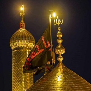 منتظرون 313
