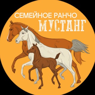 СЕМЕЙНОЕ РАНЧО «МУСТАНГ» | Сочи
