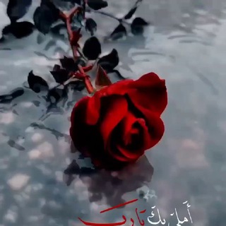 🇾🇪مملكــــتي ↵²0↵₂⓪⇭~المتنـــوعــه🇾🇪اللهم نصرك لغــــــزة 🇵🇸
