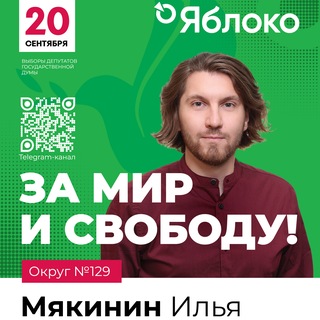 Мякинин Илья Щёлково Госдума Яблоко/Будущее.рядом