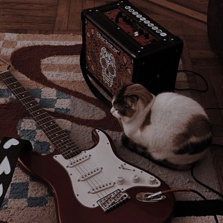 ˚ 𝜗𝜚.𝐇𝐨𝐥𝐥𝐨𝐰 𝐃𝐢𝐚𝐫𝐲 🎵. ᯓᡣ𐭩