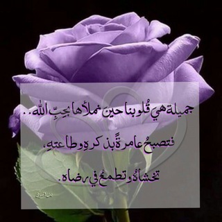 💗من كل💗بستان زهرة💗