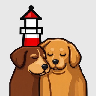 Приют "Мыс доброй надежды"