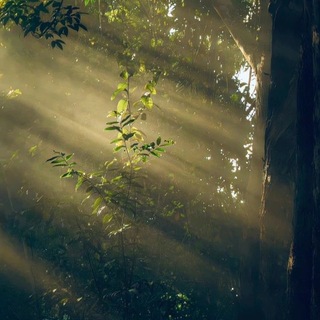 ﴿ فَمَا ظَنُّكُم بِرَبِّ الْعَالَمِينَ ﴾