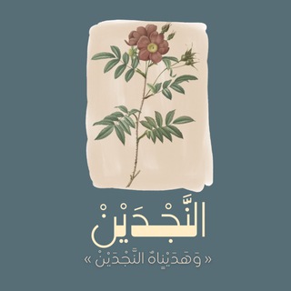 | النَّجْدَيْنِ | 🌿