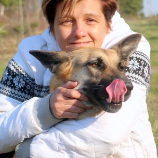 Накипь. Собаки и иже с ними.