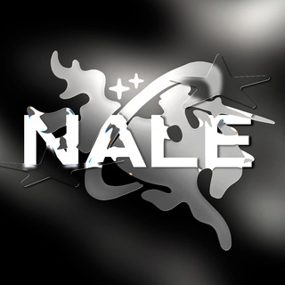 NALE DESIGN 💻