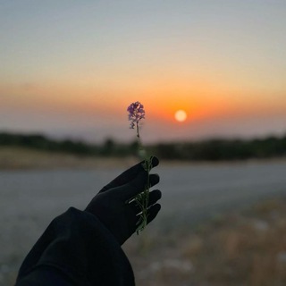 أثَر مُهاجِرَة
