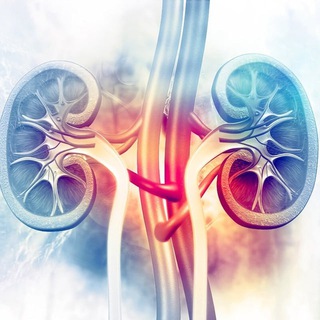 Нефрология - Nephrology