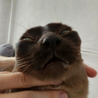 Нейтонер