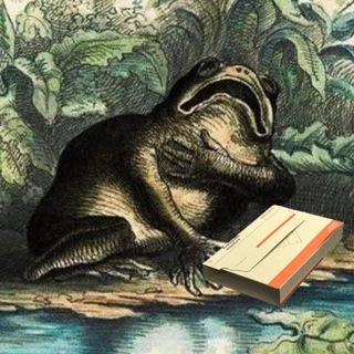Дайджест книжкових акцій 📚🦅