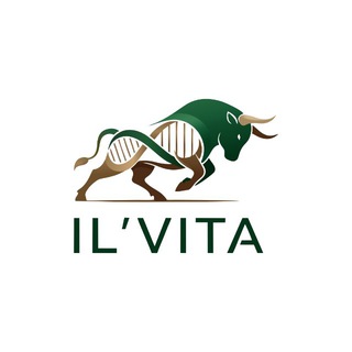 IL’VITA | ведение бизнеса