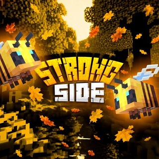 ⚔ StrongSide Politician Minecraft • Политический майнкрафт сервер | Майнкрафт сервер | Сервер Майнкрафт | Политический РП сервер