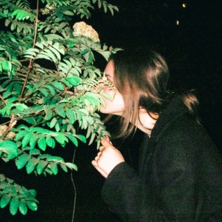 не znmo