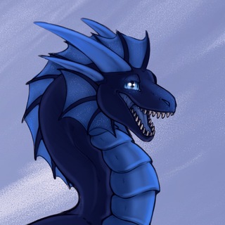 ☽ NezraWyr ☾