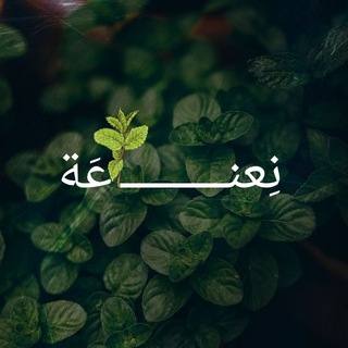 Аватар канала نِعناعَة🍃 @niaenaa