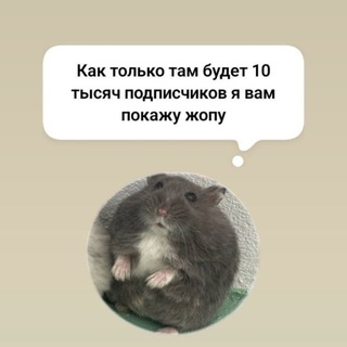 Мы все умрем мучительной смертью