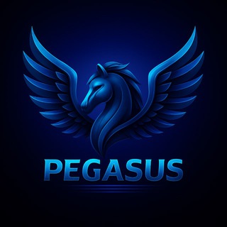 PegasusTeam парашютные высотомеры и сигнализаторы