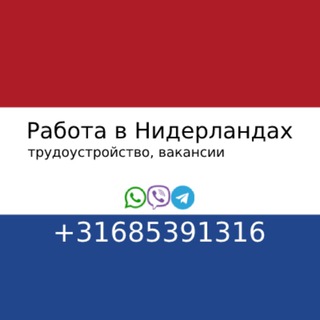 Работа в Нидерландах / Голландии 🇳🇱