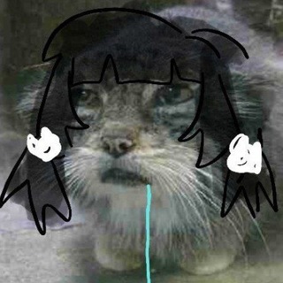 nokoriga