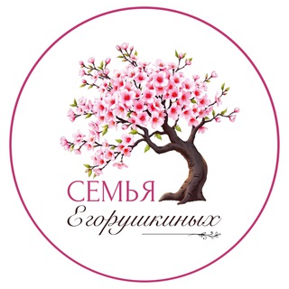 ПОЗИТИВНЫЕ НОСКИ |СЕМЬЯ ЕГОРУШКИНЫХ🧦❤️