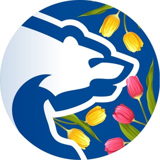 НовоспасскоеМОпартииЕР🇷🇺