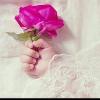 تغريدات 🕊💞