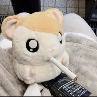 yumekui^-*