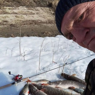 Сваговские Эмигранты 🐊
