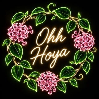 Ohh Hoya🪴
