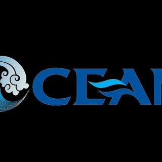 🌊OCEAN-S / Оптовая продажа продуктов питания