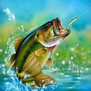 Рыбалка Всё про рыбалку🎣