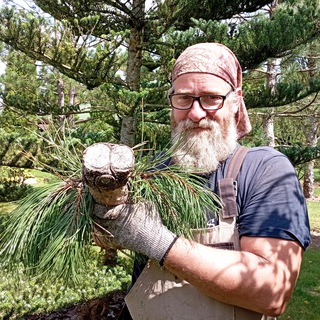 Олег Мальчихин. Дневник арбориста🌳