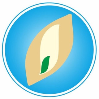 АНОО "Ольгинская гимназия"
