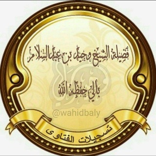 كل يوم فتوى✍