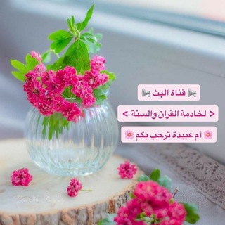 📣🌸بث حلقات المعلمة أم عُبيدة🌸📣