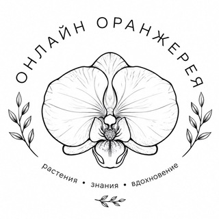 Онлайн Оранжерея | Магазин растений