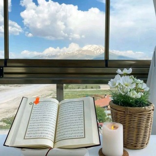 هُنا يطمئن قلبك💌🌱
